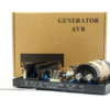 Generator Automatic Voltage Regulator Leroy Somer AVR R448