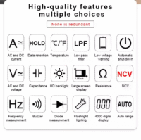 Victor Clampmeter 606E