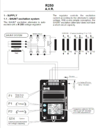 Generator Automatic Voltage Regulator Leroy Somer AVR R250